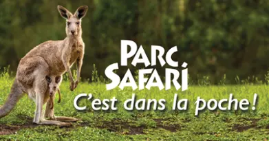 Parc Safari - Pour un Safari Aventure!