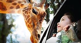 Parc Safari