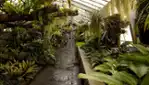 Jardin botanique de Montréal - Espace pour la vie