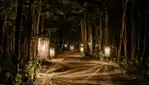 Onhwa' Lumina - Parcours nocturne enchanté