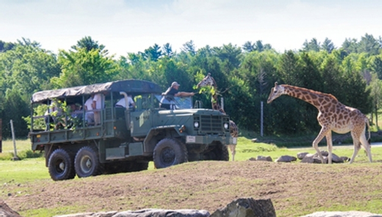 Zoo safari coupons
