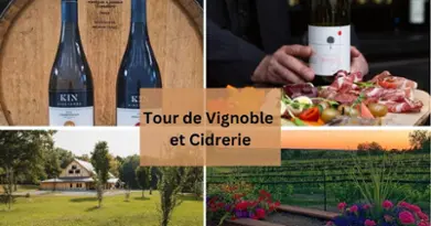 Gray Line Ottawa - Tour de Vignoble et Cidrerie