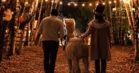 Halloween au Domaine Poissant – Une balade avec les alpagas!