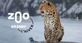 Zoo de Granby : le plus grand parc animalier et familial du Québec