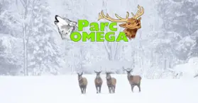 Parc Oméga - Montebello