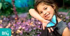 BFLY Brossard - Centre d'amusement