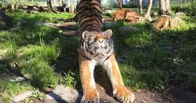 Miller Zoo - jardin zoologique