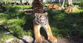 Miller Zoo - jardin zoologique