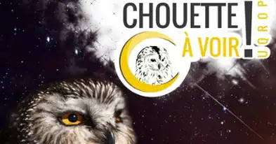 Chouette à voir! Explorez le monde des oiseaux de proie.
