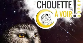 Chouette à voir! Explorez le monde des oiseaux de proie.