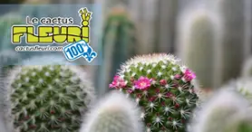 Le Cactus Fleuri - Portes ouvertes: SAMEDI 24 JANVIER 10H À 14H