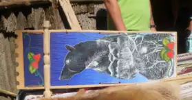 Visitez Kahnawake - Plusieurs options de visite