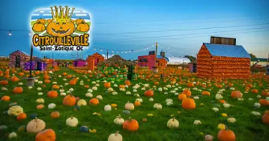 Visitez Citrouilleville - autocueillette de citrouilles, labyrinthe et plus!