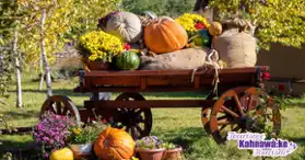 Harvest Food Fest – Tout le mois d’octobre!