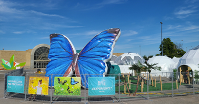 BFLY Québec Centre d'amusement 