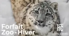 Hôtel Castel, forfaits Zoo de Granby