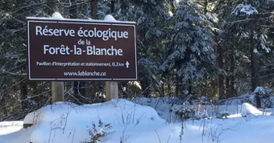Réserve écologique de la Forêt-la-Blanche