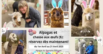 Alpagas du Domaine Poissant - Pâques