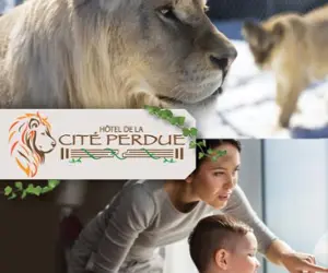 Hotel de la cité perdue