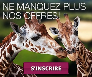 Ne manquez plus nos offres!