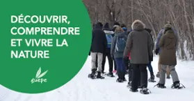 GUEPE - Aventure et plein air