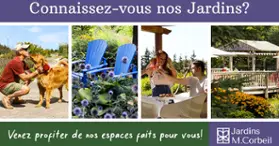 Jardins Michel Corbeil - Visites guidées - activités