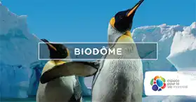 Biodôme de Montréal - Espace pour la vie