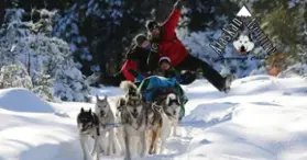 Alaskan aventure Tremblant