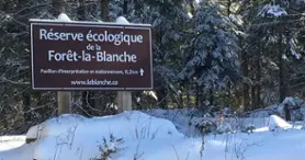 Réserve écologique de la Forêt-la-Blanche