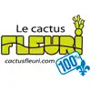 Le Cactus Fleuri - Un Noël qui rayonne… à 20 % - 50 % de rabais!