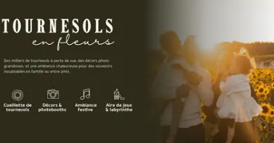 Tournesols en Fleurs - La Belle de Coteau-du-lac 