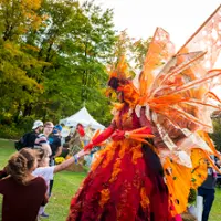 Festival des couleurs de Rigaud
