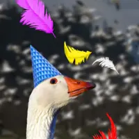 Festival de l’Oie des Neiges 2026