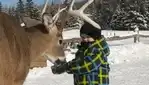 Parc Oméga : des hébergements en communion avec la nature