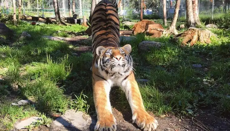 Miller Zoo - jardin zoologique