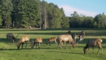 Parc Oméga - Montebello