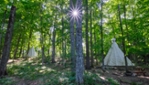 Dormez avec les animaux au parc Oméga