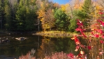 Parc des Chutes Dorwin - Rawdon