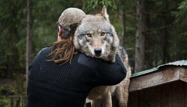 Refuge Pageau Centre de réhabilitation pour animaux
