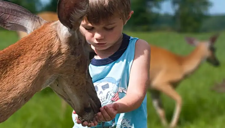 Parc Oméga - Montebello