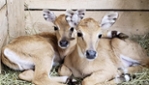 Ranch Dupont - Zoo ferme éducative avec plus de 200 animaux