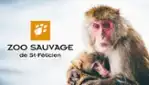 Zoo Sauvage de St-Félicien