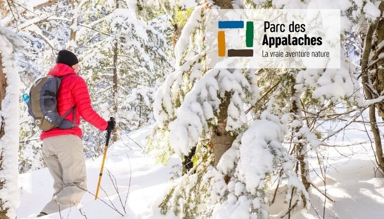 Parc régional des Appalaches, trottinette des neiges , Chaudière-Appalaches