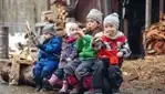 Les Vergers Hillspring - Le Temps des Sucres