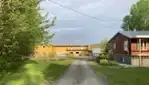Améroquois - Huile Champy - Des Tournesols plein la vue!