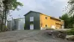 Améroquois - Huile Champy - Des Tournesols plein la vue!