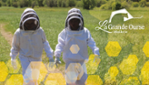 Miellerie de la Grande Ourse - Apiculteur & Hydromellerie - Visite guidée