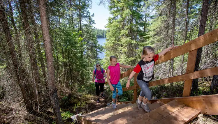 Parc aventure Joannès - D'Arbre en arbre - labyrinthe géant, vélo de montagne