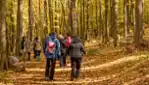 Quoi faire dans Vaudreuil-Soulanges 