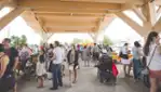 Les Marchés Publics de la Vallée-de-l'Or